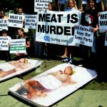 peta-por-los-animales